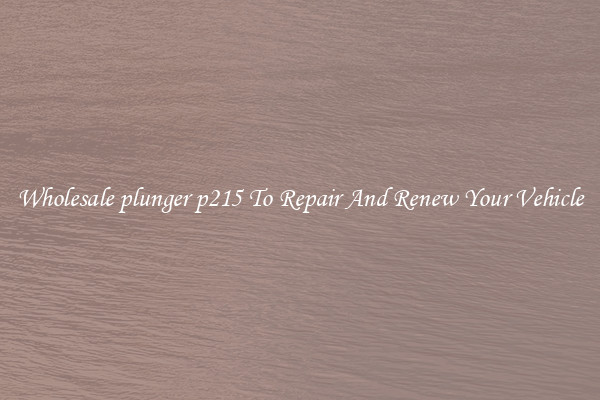Wholesale plunger p215 To Repair And Renew Your Vehicle