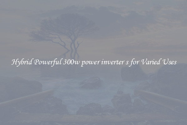 Hybrid Powerful 300w power inverter s for Varied Uses