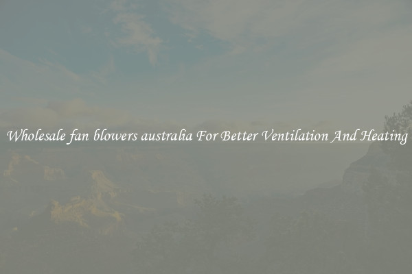 Wholesale fan blowers australia For Better Ventilation And Heating