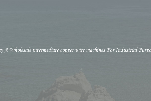 Buy A Wholesale intermediate copper wire machines For Industrial Purposes