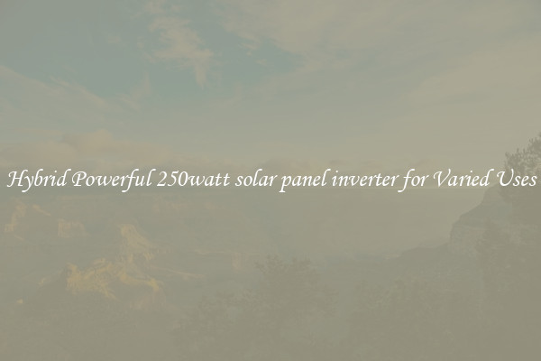 Hybrid Powerful 250watt solar panel inverter for Varied Uses