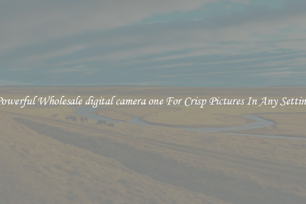 Powerful Wholesale digital camera one For Crisp Pictures In Any Setting