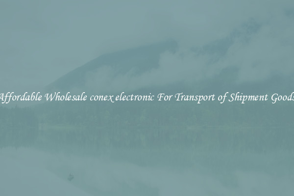 Affordable Wholesale conex electronic For Transport of Shipment Goods 