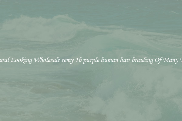 Natural Looking Wholesale remy 1b purple human hair braiding Of Many Types