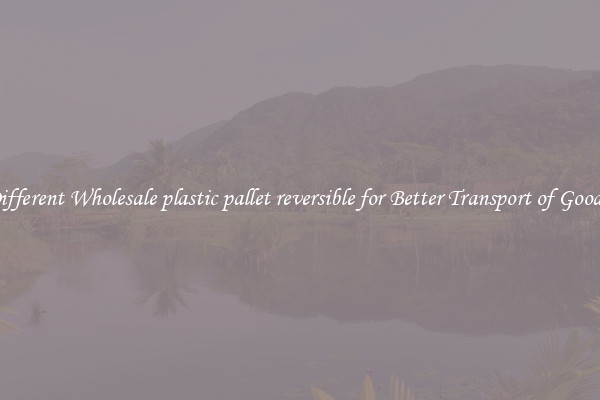 Different Wholesale plastic pallet reversible for Better Transport of Goods 