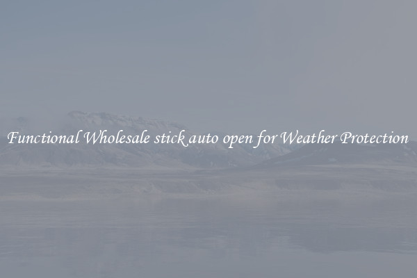 Functional Wholesale stick auto open for Weather Protection 