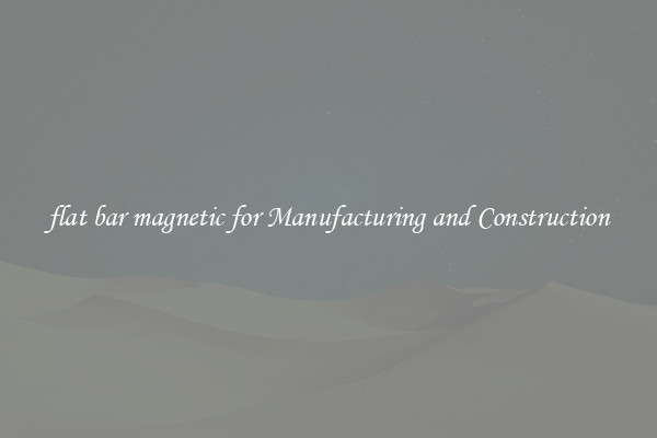 flat bar magnetic for Manufacturing and Construction