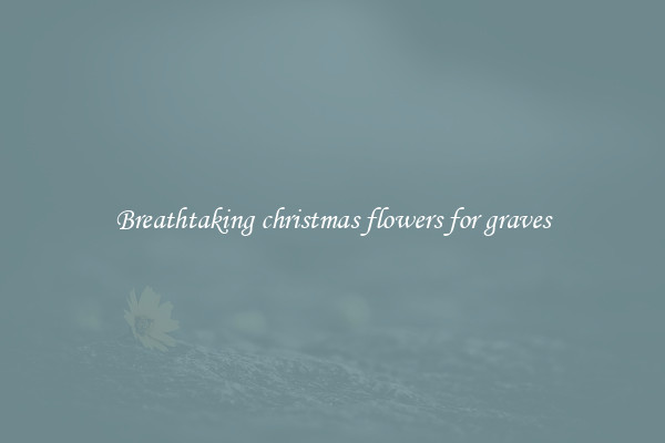 Breathtaking christmas flowers for graves