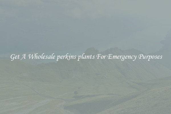 Get A Wholesale perkins plants For Emergency Purposes