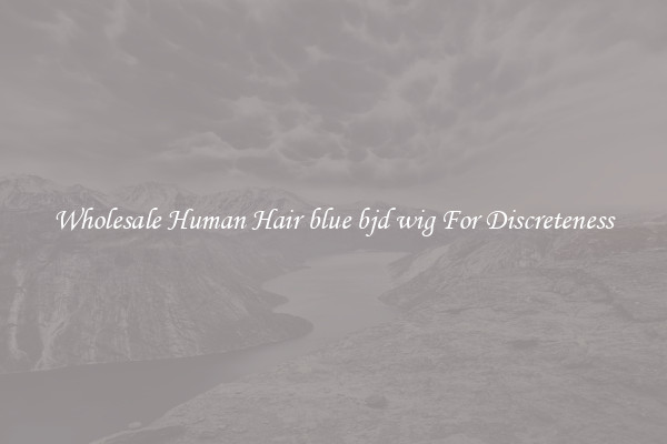 Wholesale Human Hair blue bjd wig For Discreteness