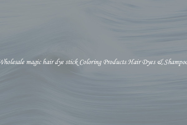 Wholesale magic hair dye stick Coloring Products Hair Dyes & Shampoos