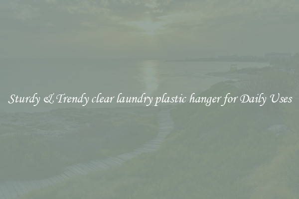 Sturdy & Trendy clear laundry plastic hanger for Daily Uses