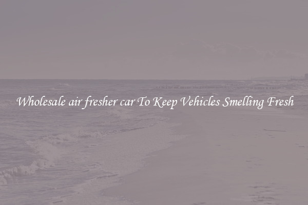 Wholesale air fresher car To Keep Vehicles Smelling Fresh