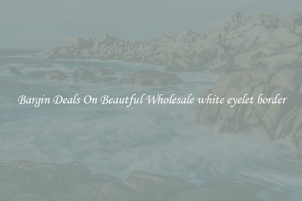 Bargin Deals On Beautful Wholesale white eyelet border
