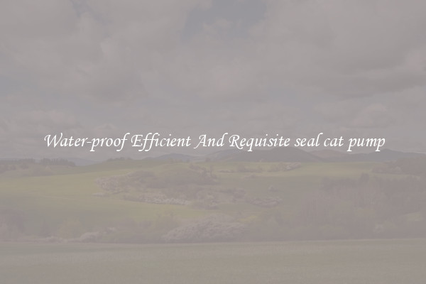 Water-proof Efficient And Requisite seal cat pump