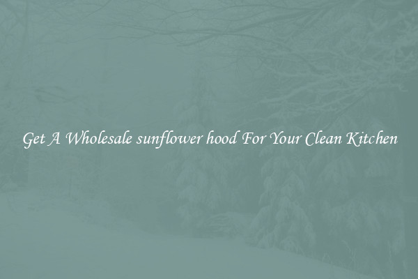 Get A Wholesale sunflower hood For Your Clean Kitchen