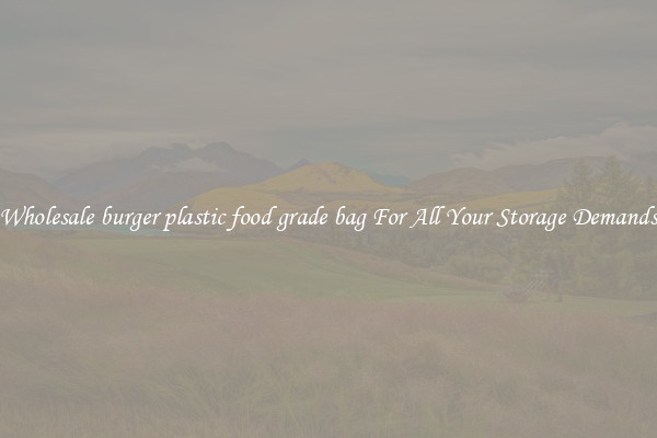 Wholesale burger plastic food grade bag For All Your Storage Demands