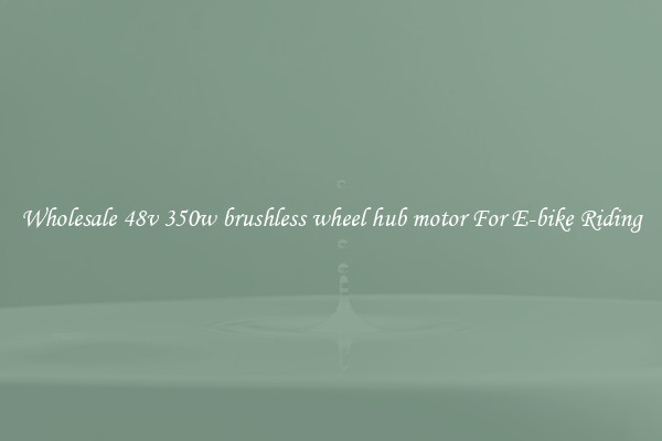 Wholesale 48v 350w brushless wheel hub motor For E-bike Riding