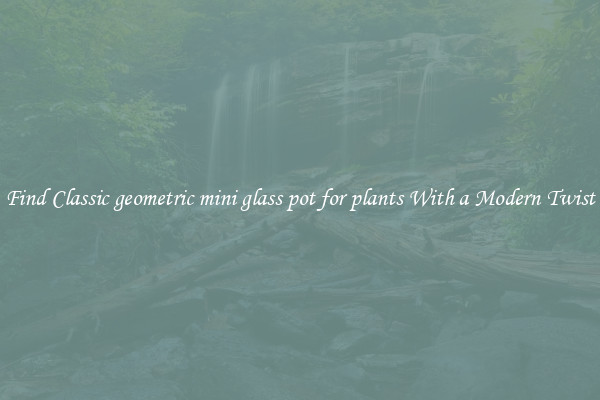 Find Classic geometric mini glass pot for plants With a Modern Twist