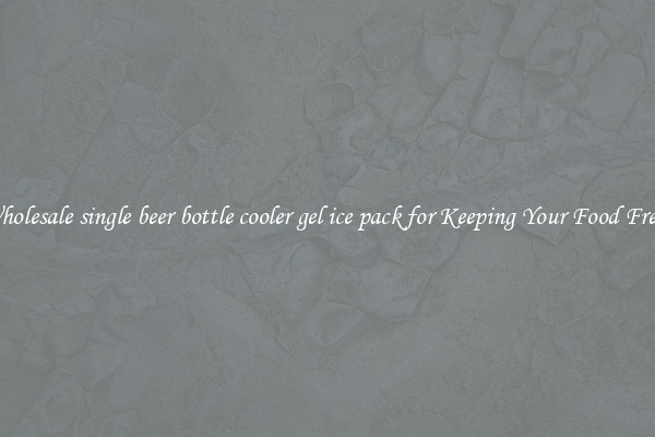 Wholesale single beer bottle cooler gel ice pack for Keeping Your Food Fresh