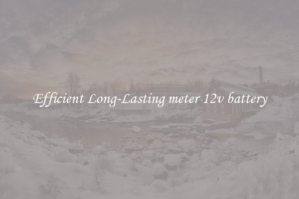 Efficient Long-Lasting meter 12v battery