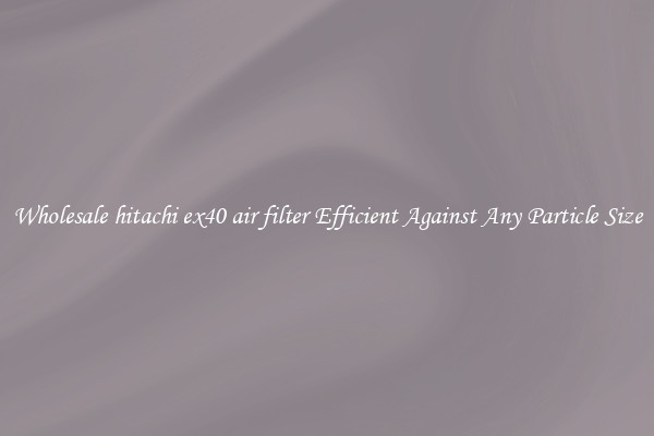 Wholesale hitachi ex40 air filter Efficient Against Any Particle Size
