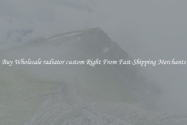 Buy Wholesale radiator custom Right From Fast-Shipping Merchants