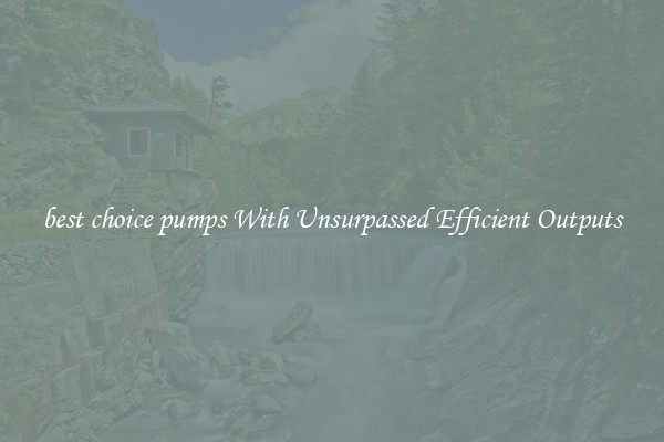 best choice pumps With Unsurpassed Efficient Outputs