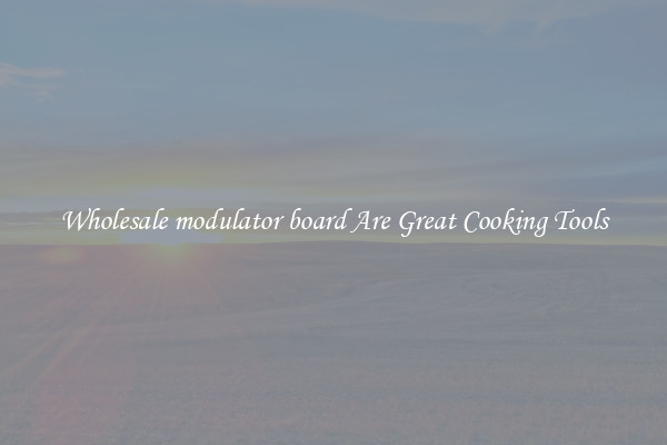 Wholesale modulator board Are Great Cooking Tools
